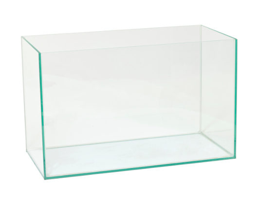 Come costruire un acquario 1163 0 Come costruire un acquario